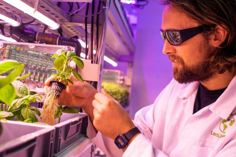 Image of LettUs Grow scientist